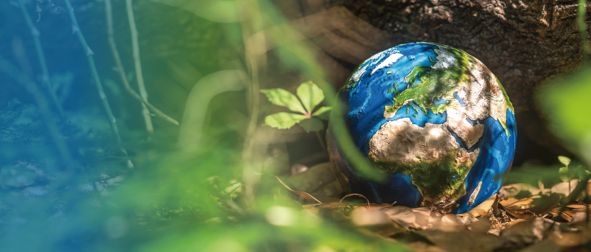 We use recycled PRET<br />material to lead the way in<br />eco-friendly packaging trends. 